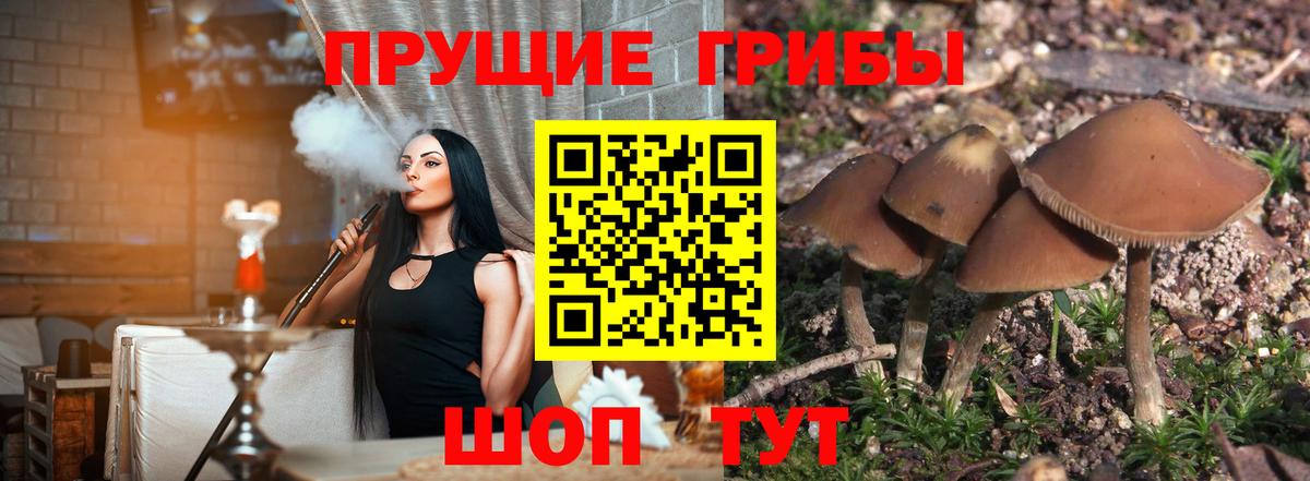 Галлюциногенные грибы Cubensis  Вход с VPN  Жуковский 